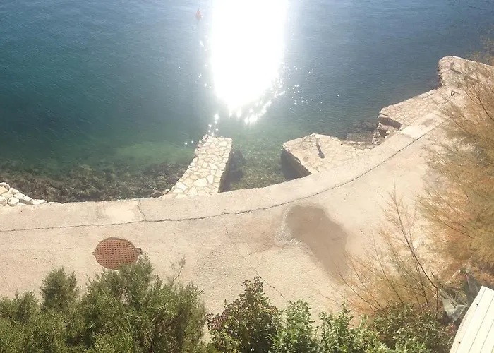 Holiday Gluscevic كليك