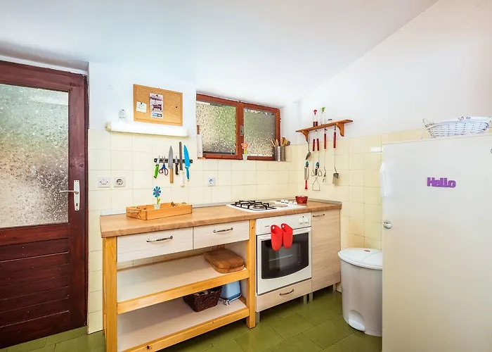 Holiday Gluscevic * كليك