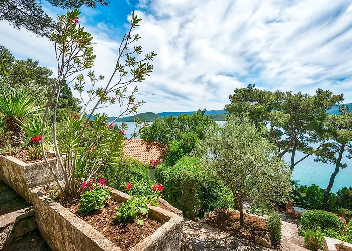 Holiday Gluscevic * كليك